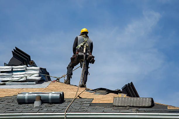 Professional Emergency Roof Repair technician working in Canfield, OH
